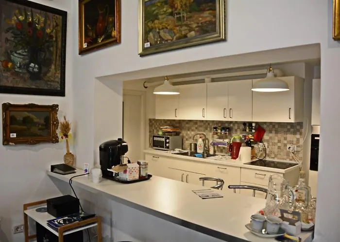 Apartment Neferprod - Is - Cam 07 Timisoara