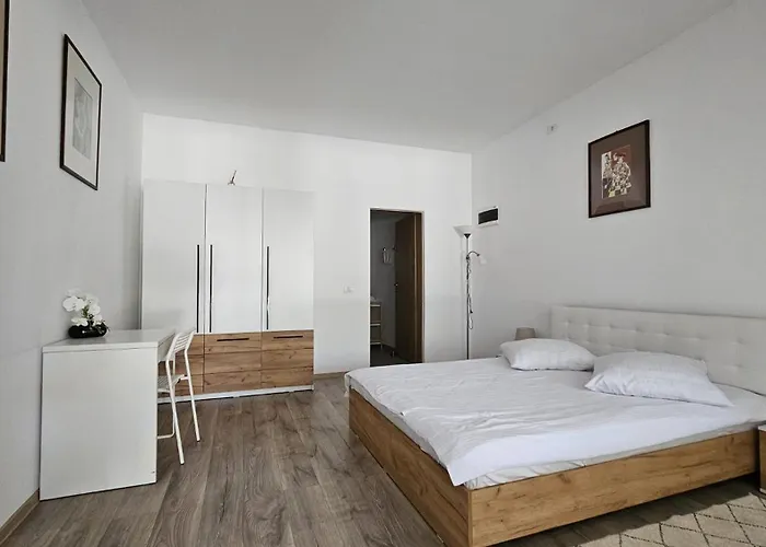 Neferprod - Is - Cam 07 Apartment Timisoara